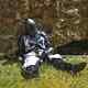 Medieval Black Templar Knight Full Body Set Armour Cosplay Halloween Suit